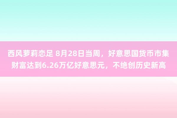 西风萝莉恋足 8月28日当周，好意思国货币市集财富达到6.26万亿好意思元，不绝创历史新高